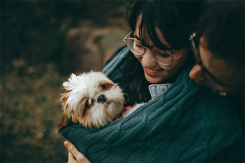 獣医推奨！ペットの健康を保つための8つのプレゼント